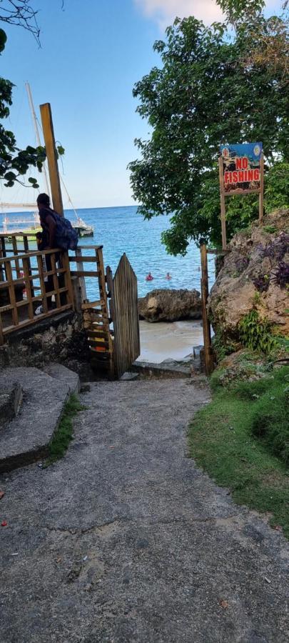Komfort Getaway Villa At Countrymist Ocho Rios Zewnętrze zdjęcie