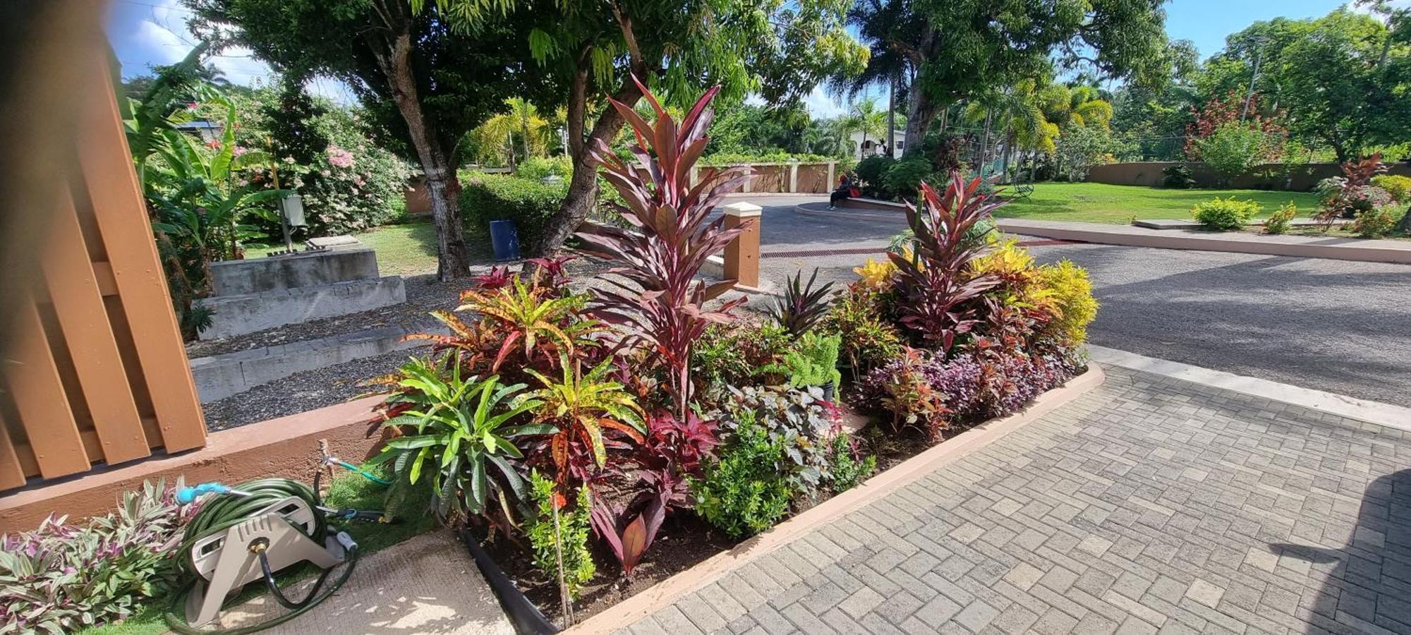 Komfort Getaway Villa At Countrymist Ocho Rios Zewnętrze zdjęcie
